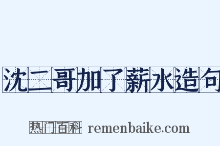 沈二哥加了薪水造句是什么意思的图片